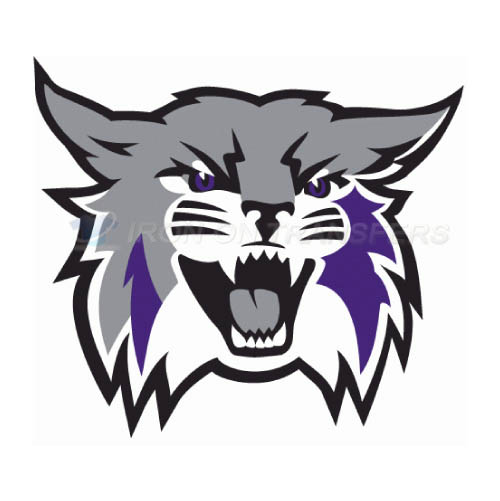 Weber State Wildcats Logo T-shirts Iron On Transfers N6918 - Click Image to Close